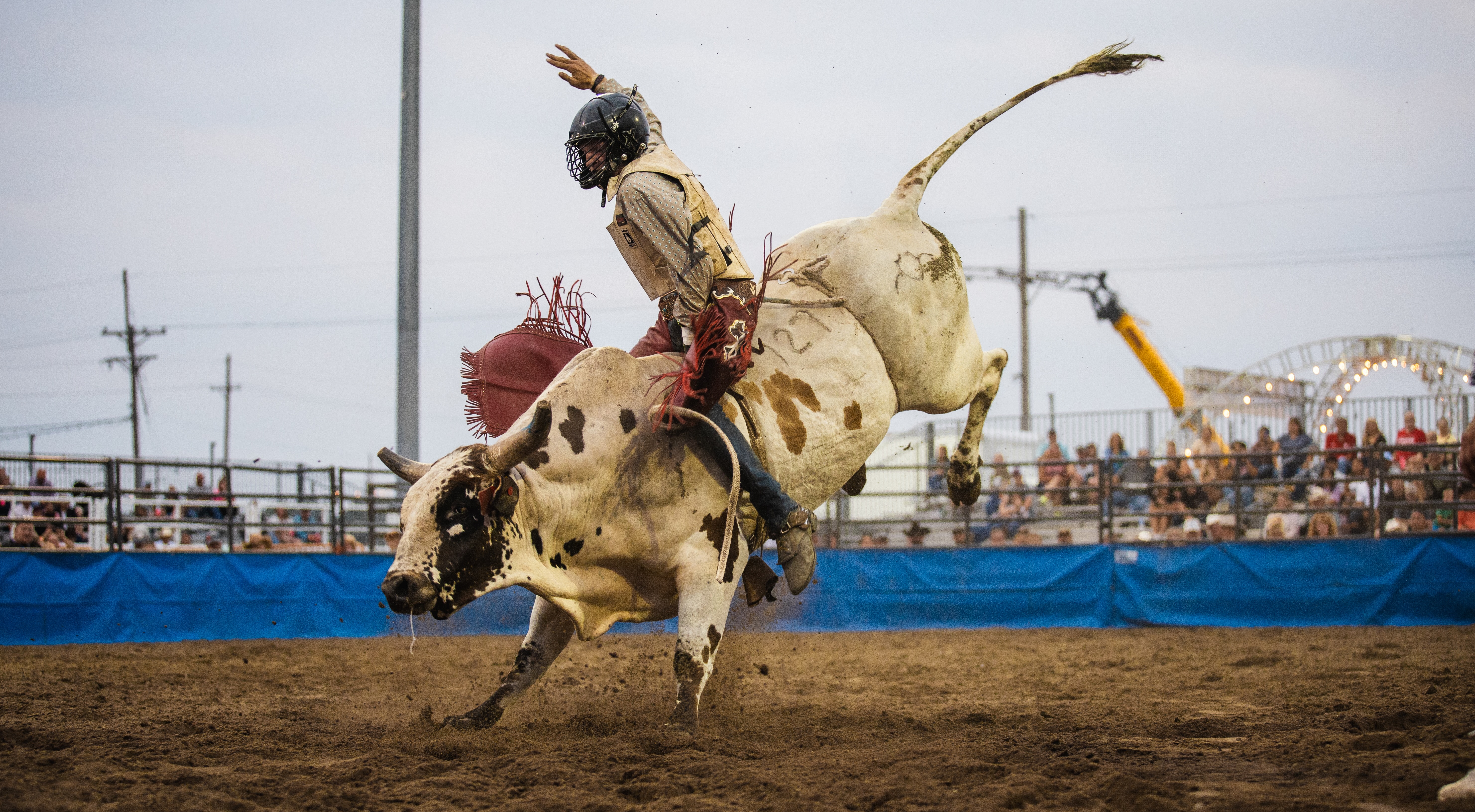 Rough Stock Rodeo